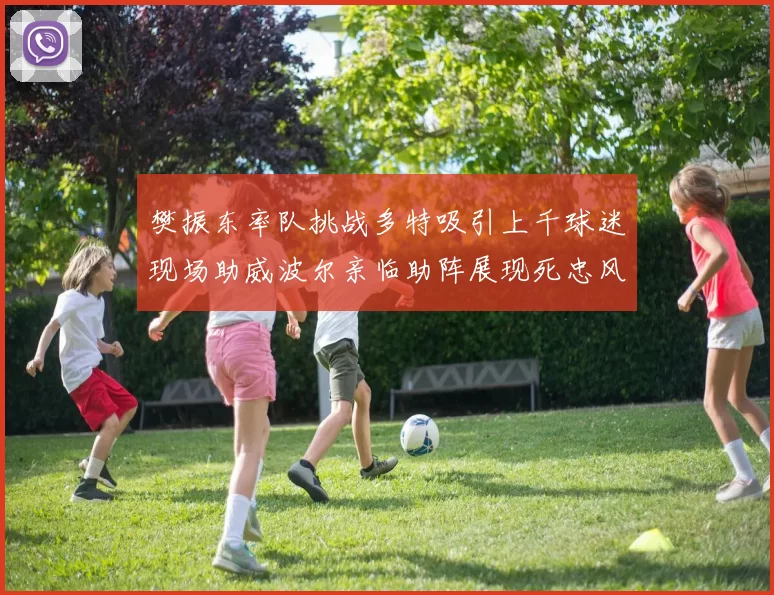樊振东率队挑战多特吸引上千球迷现场助威波尔亲临助阵展现死忠风采