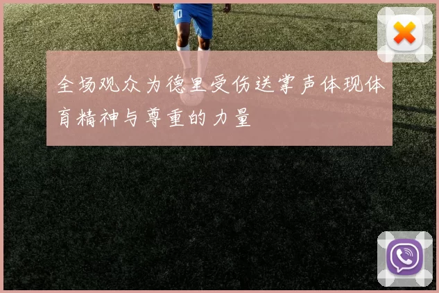 全场观众为德里受伤送掌声体现体育精神与尊重的力量
