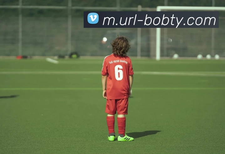 BOB体育平台生态图